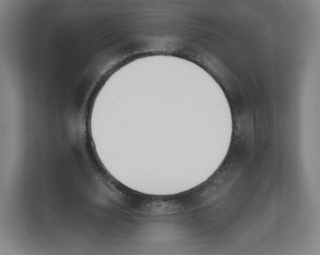 X0000112200632200908211541