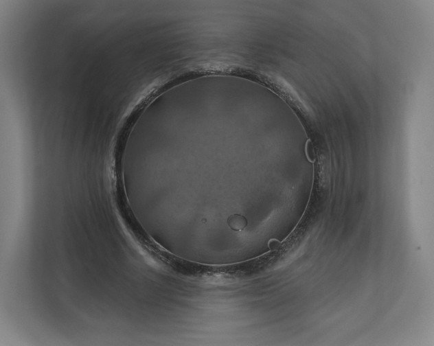 X0000112200634200908211541