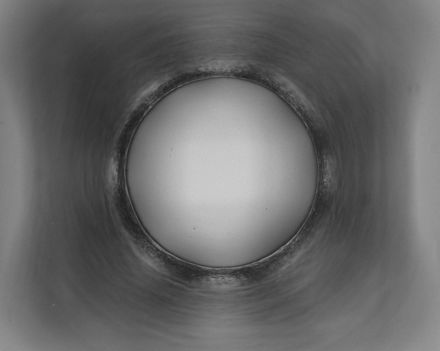 X0000112200636200908211541