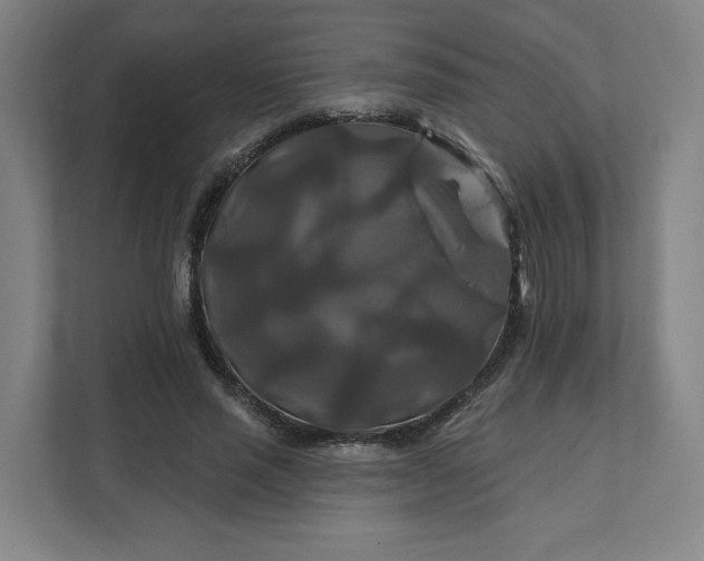 X0000112200637200908211541