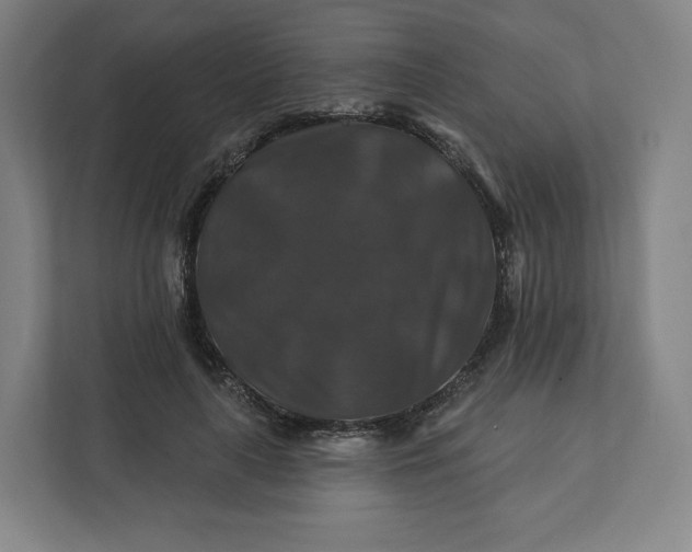 X0000112200643200908211541