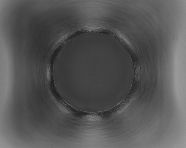 X0000112200644200908211541