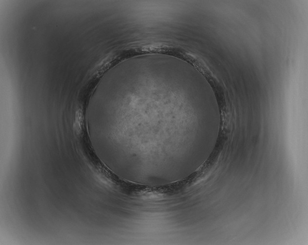 X0000112200648200908211541