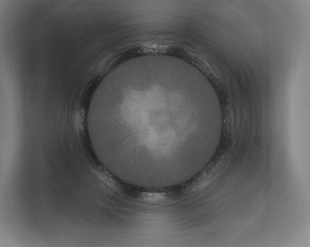 X0000112200649200908211541