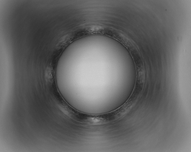 X0000112200654200908211541