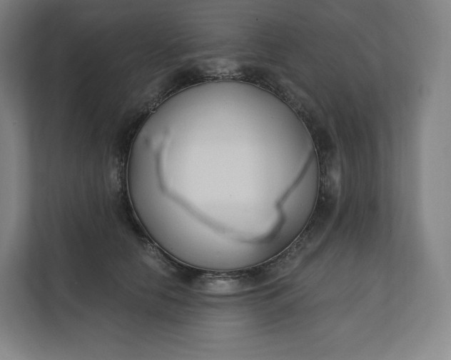 X0000112200658200908211541