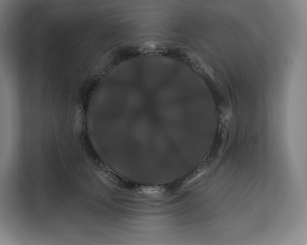 X0000112200659200908211541