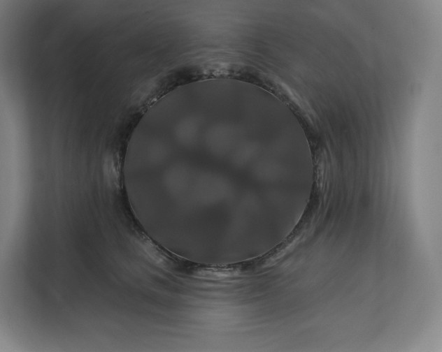 X0000112200661200908211541