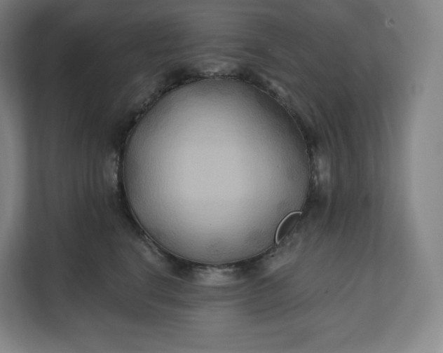 X0000112200664200908211541