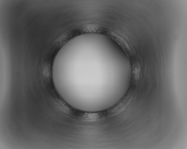 X0000112200665200908211542