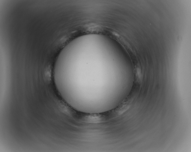 X0000112200668200908211542