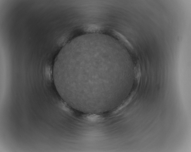 X0000112200669200908211542