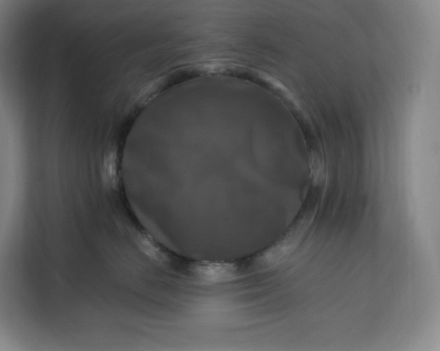 X0000112200670200908211542