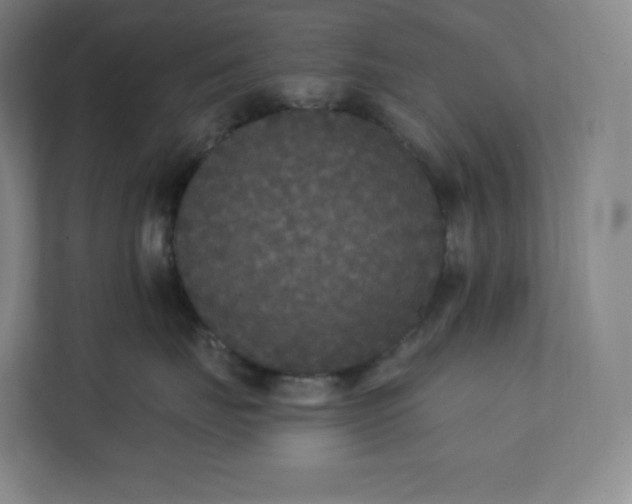 X0000112200671200908211542