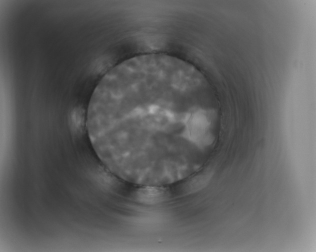 X0000112200672200908211542