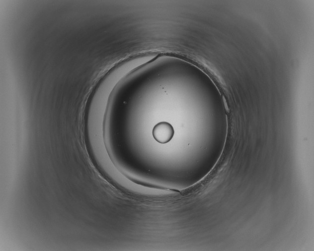 X0000112200673200908211541