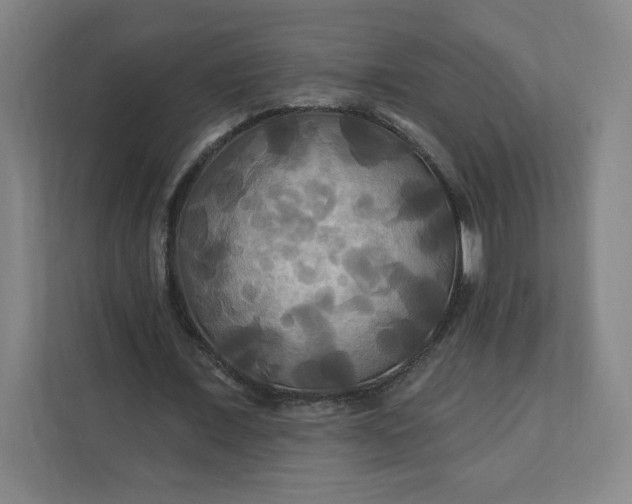 X0000112200675200908211541