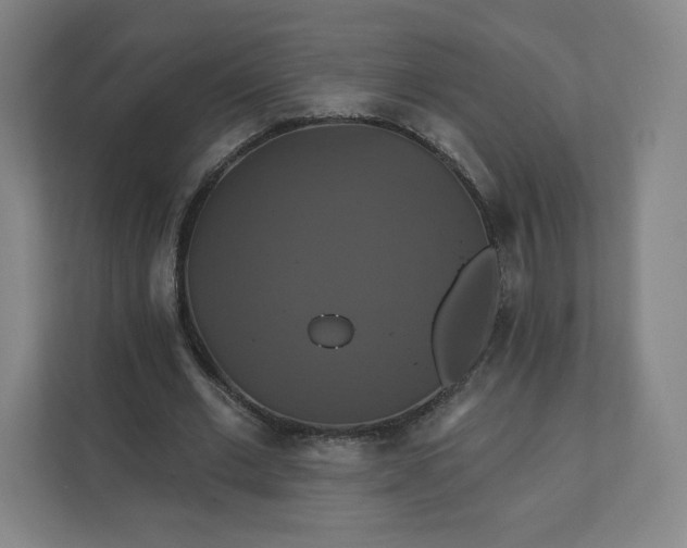 X0000112200677200908211541