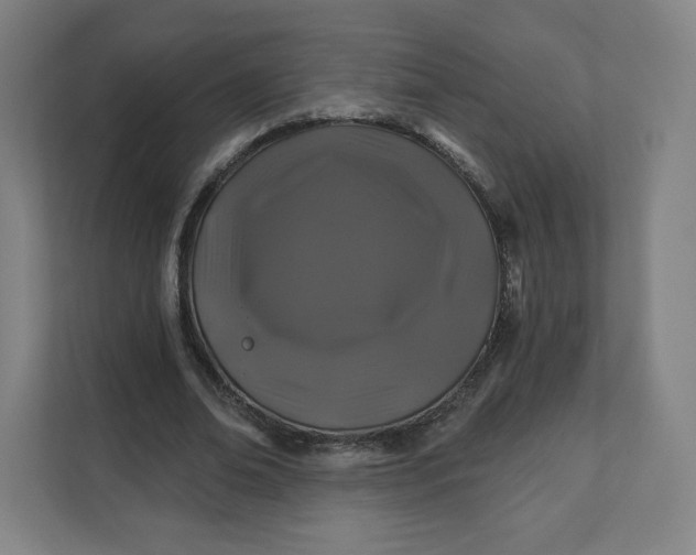 X0000112200678200908211541