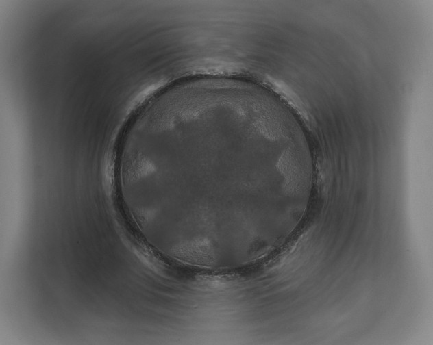 X0000112200679200908211541