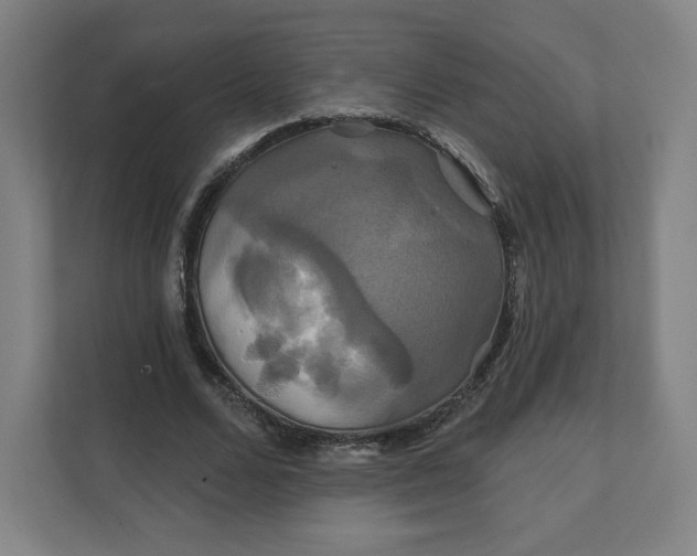 X0000112200680200908211541