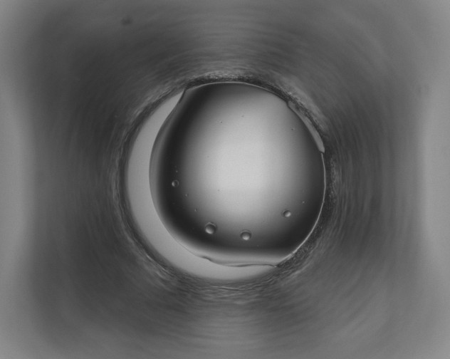 X0000112200681200908211541