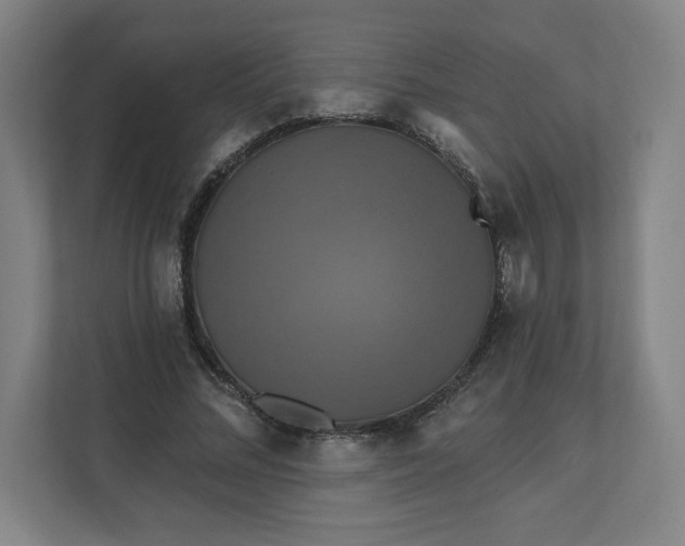 X0000112200684200908211541