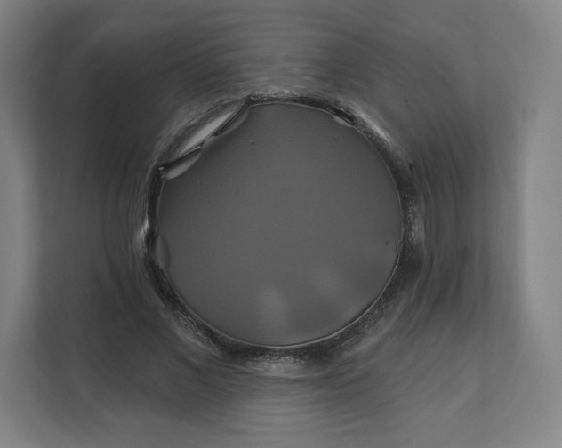 X0000112200685200908211541