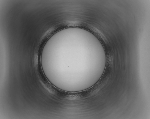 X0000112200686200908211541