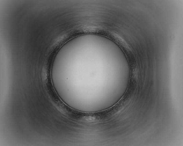 X0000112200687200908211541