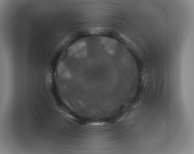 X0000112200691200908211541