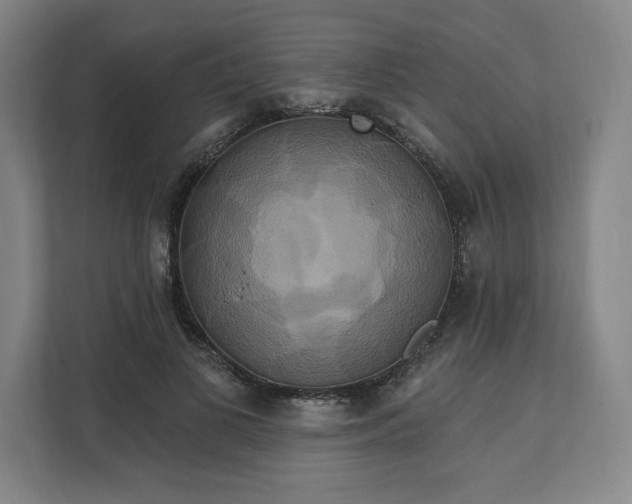 X0000112200693200908211541