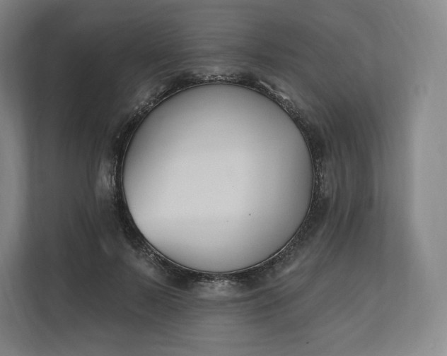 X0000112200695200908211541