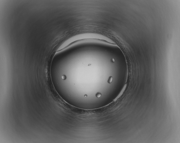 X0000112200696200908211541