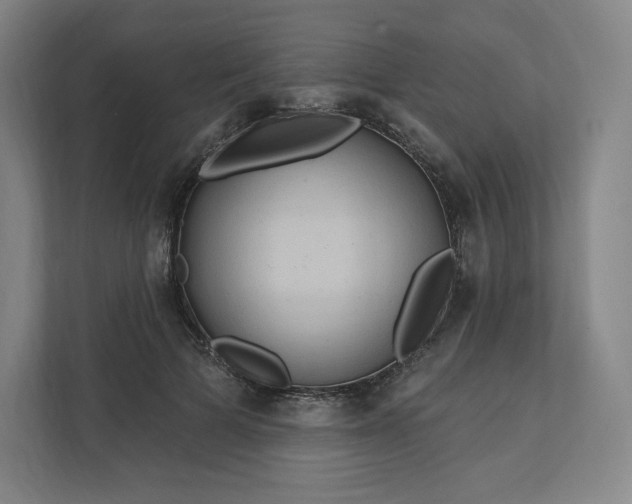 X0000112200697200908211541