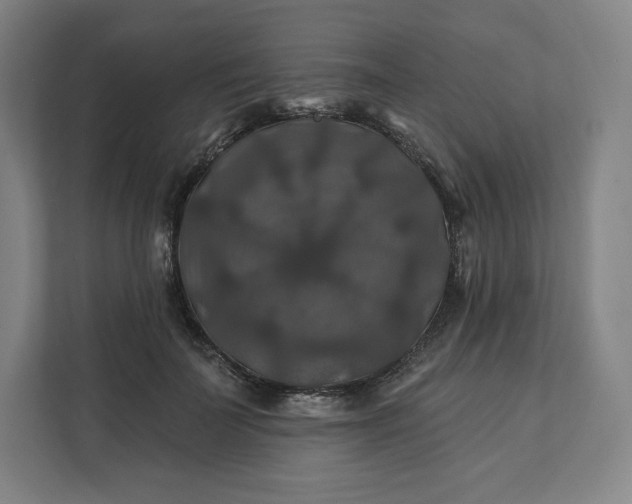 X0000112200699200908211541