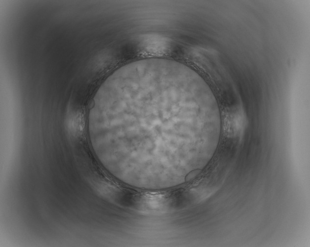 X0000112200701200908211541