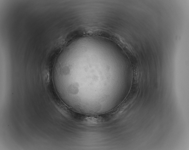 X0000112200703200908211541