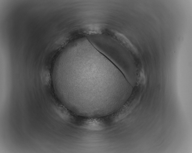 X0000112200704200908211541