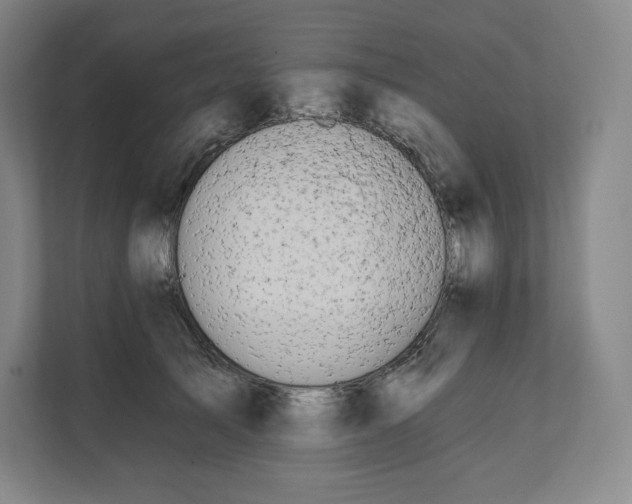 X0000112200705200908211541