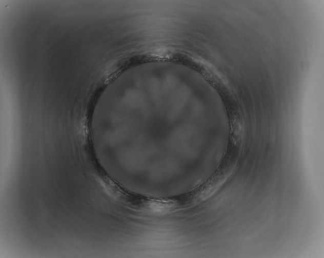 X0000112200707200908211541