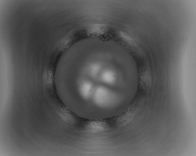 X0000112200708200908211541