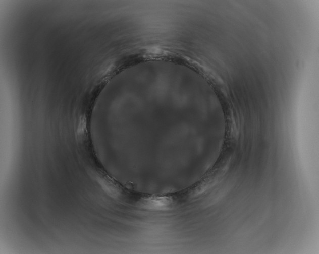 X0000112200711200908211540