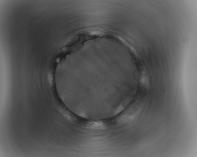 X0000112200715200908211540