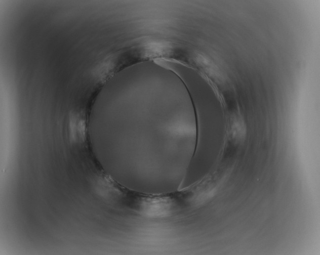 X0000112200716200908211540