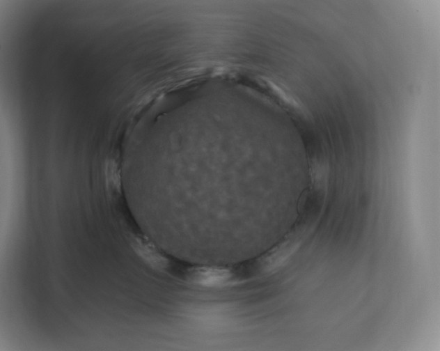 X0000112200719200908211540