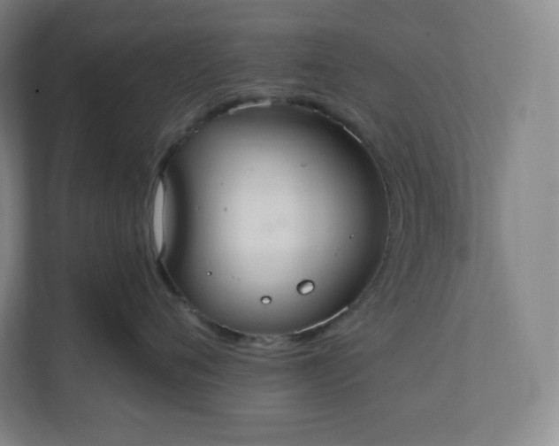 X0000112200720200908211540