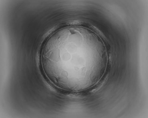 X0000112200725200908211540