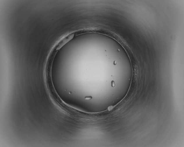 X0000112200726200908211540