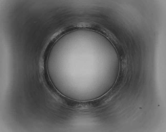 X0000112200727200908211540